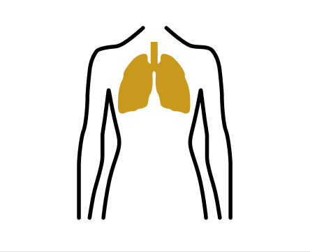 Breathing function